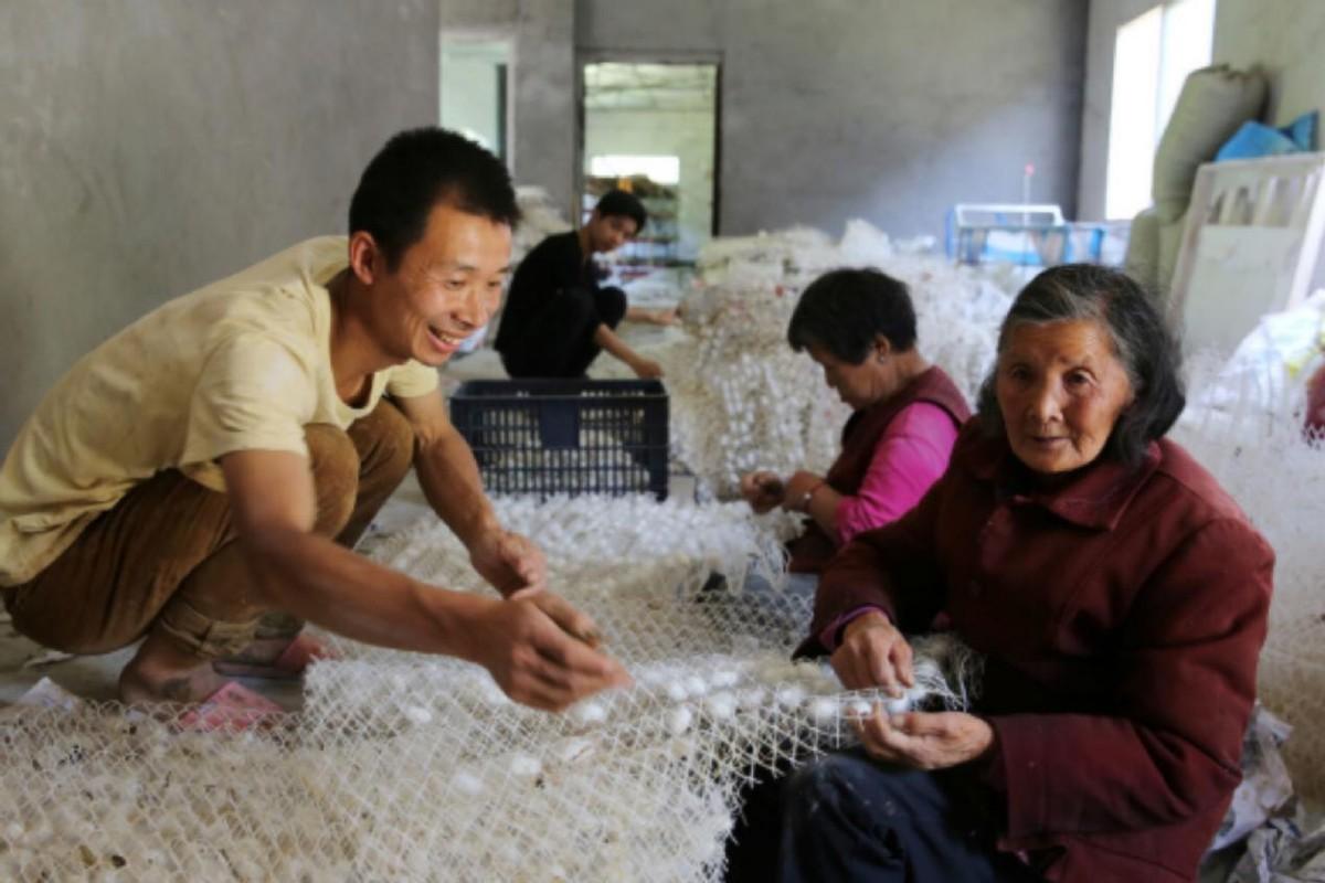 股票泡沫，探究与解析